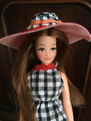 Vintage 1970s Palitoy Pippa Doll Rosemary / Emma.  Cutest Pippa Outfit
