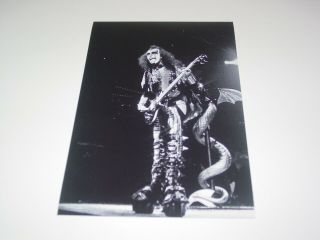 Kiss 8x12 Photo Gene Simmons Live Concert Love Gun Album Tour Sept 1977 13