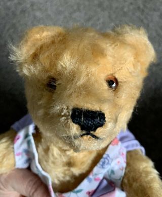 Antique Steiff Bear Golden Blonde Mohair 10” Germany Fully Jointed No Id Nr