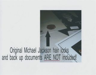 MICHAEL JACKSON worn owned personal HAIR STRAND The Jacksons DUST SPECK SIZED 2