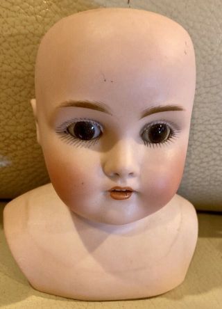Antique 4 " German Bisque Kestner 154 Doll Head,  Perfect Bisque