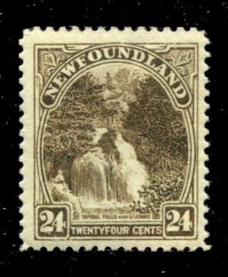 Newfoundland 144 Sg 162 Mh F/vf 24c 1923 - 24 Issue [n4783] Cv=$85.  00