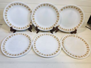 Vintage Corelle " Butterfly Gold " Set Of (6) Lunch - Salad Plates By Corning