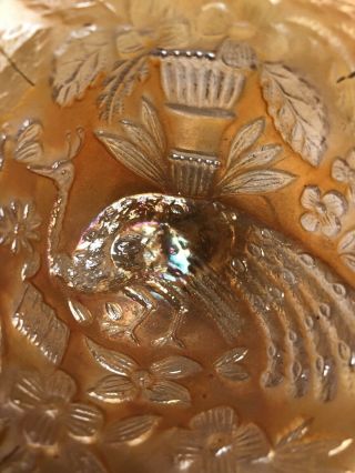 Antique Fenton Marigold Carnival Glass Peacock and Urn Ruffled Rim Compote.  1912 2