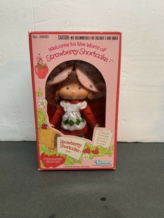 Nrfb Vintage Kenner 1980 Strawberry Shortcake Doll 43020