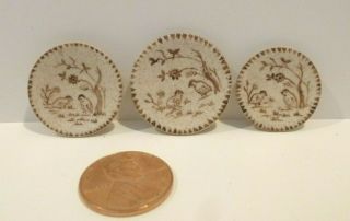 Jo Parker Miniature Plates With Bird Design Set Of 3 Signed