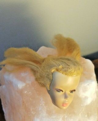 Vintage Barbie Ponytail Doll Head Early 3 ? Tlc
