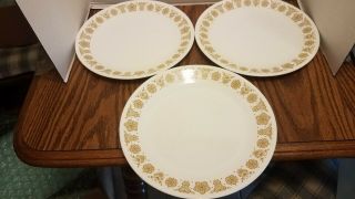 3 Vintage Corelle Butterfly Gold Dinner Plates 10 1/4 "