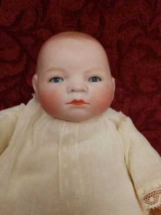 Antique German Bisque Solid Dome Head Bye - Lo Baby Doll Grace S Putnam 11 Inches