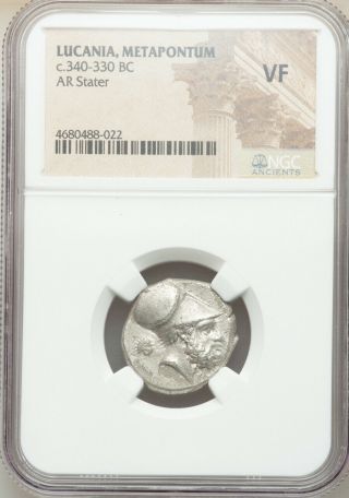 Lucania Metapontum Ca.  340 - 330 BC Authentic Ancient Greece AR stater NGC VF 2