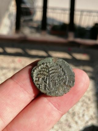 Judaea,  Bar Kokhba Revolt.  Small Bronze (5.  86 G),  132 - 135 Ce.  Undated,  Attribut