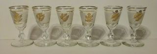 Set Of 6 Vintage Libby Frosted Gold Leaf Cordials Glasses Stemmed