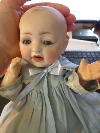 Hertel,  Schwab & Co 151 Bisque Character Doll 11 Inch