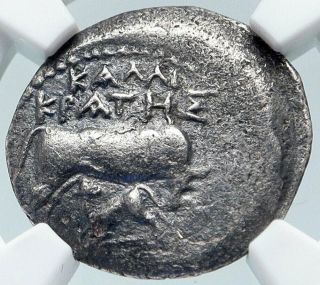 Dyrrhachium In Illyria Authentic Ancient 208bc Silver Greek Coin Ngc I85728
