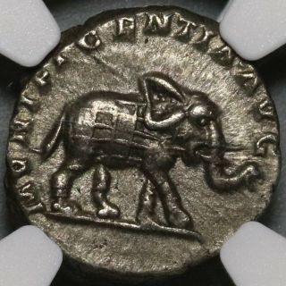 196 Ngc Xf Elephant Septimius Severus Roman Empire Denarius Historic (20050601c)