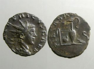 Tetricus Ii Ae / Bl Antoninianus_gallic Empire Of Rome_put On Display In Rome