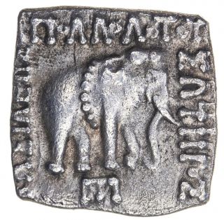 Baktria Greco - Baktrians Apollodotos I 180 - 160bc Ar Drachm Bop.  4f