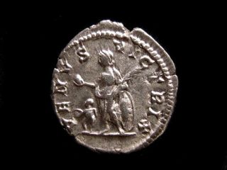 CHOICE COLLECTIBLE ROMAN COIN,  PLAUTILLA,  wife of Caracalla,  AR Denarius, 3