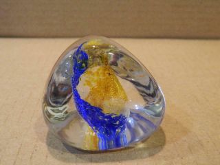 " Caithness Pebble Scotland " Art Glass Blue/gold Paperweight Light Swirl Vintage