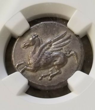 Bruttium,  Medma Pegasus Stater Athena Ngc Ch Xf 5/3 Ancient Silver Coin