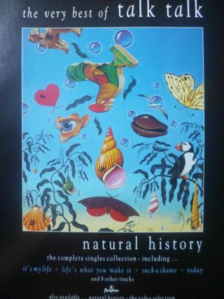 Natural History - The Very Best Of Talk Talk - A4 Press Poster