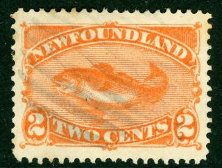Canada 1887 Newfoundland 2 Cent Red Orange Fish Scott 48 Vfu Z823