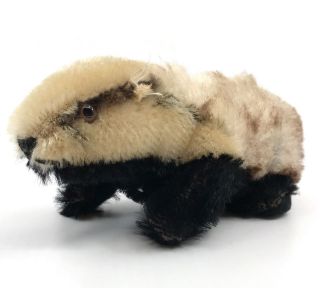 Steiff Diggy Badger Mohair Plush 10cm 4in 1963 - 64 No Id Ears Missing Fur Wear