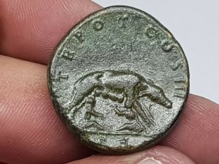 Rare Ancient Roman Coin Bronze Sestertius She Wolf 17,  1 Gr 29 Mm