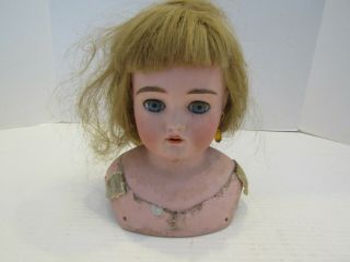 Huge Vintage Doll Head Porcelain Bisque Marked 246 12 Parts Repair Blue Eyes