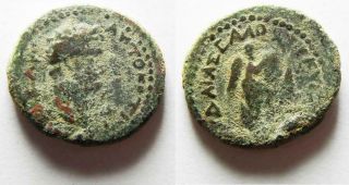 Zurqieh - As15444 - As Found: Judaea,  Judaea Capta Series.  Titus,  As Caesar.  69 - 79