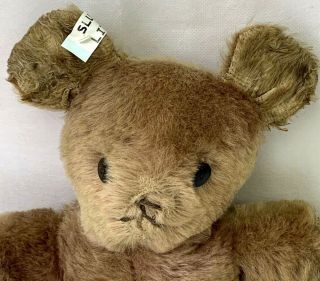Vintage Teddy Bear Button Eyes Wood Wool Stuffed Plush Beige Brown 13 