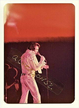 Elvis Presley Concert Photograph - Memphis,  Tn - March 20,  1974