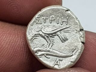 Extremely Rare Ancient Greek Silver Stater Istros/tweens.  5,  8 Gr.  18 Mm