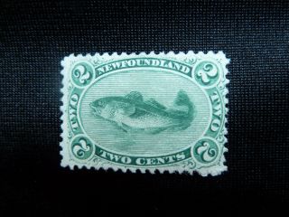 Canada Stamp Newfoundland Scott 47 A19 F/vf Mh 2 Cents Stamp