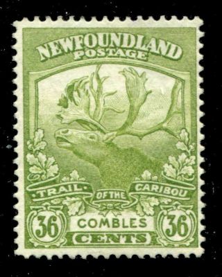 Newfoundland 126 Sg 141 Mng F/vf 36c Caribou [n4698] Cv=$37.  50