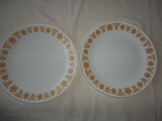 Vintage Corelle Butterfly Gold 10 1/4” Plate Dinner Plates Set Of (2)