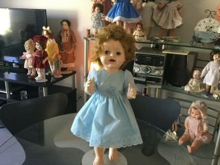 Vintage Pedigree Hard Plastic Walker Doll Ca 1950s 51.  5 Cm Ht