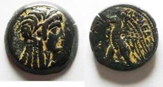 Zurqieh - As13466 - Ptolemaic Kings Of Egypt.  Ptolemy V Epiphanes.  204 - 180 Bc.  Æ 2