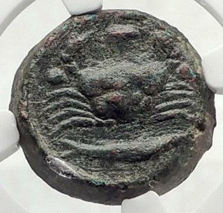 Akragas In Sicily 425bc Eagle Crab Fish Authentic Ancient Greek Coin Ngc I72734