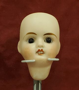 Antique French Bisque Doll Head J Verlingue Petite Francaise