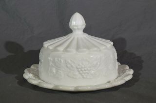 Vintage Westmoreland Milk Glass Covered Butter Cheese Dish Grapes Vineyard