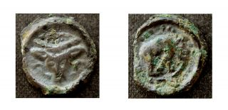 Celtic Gaul / Remi - Potin Coin,  Bucranium / Bear