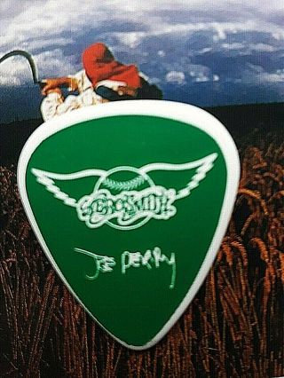 Aerosmith Joe Perry 2010 Fenway Park Green Guitar Pick