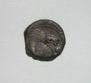 Zeugitania,  Carthage.  Ae 19.  Sardinian.  C.  300 - 264 Bc.  Tanit/horse Head.