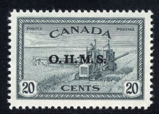 Canada O8 20c Ohms Overprint Official Vf Mnh Scott Cv $17.  50