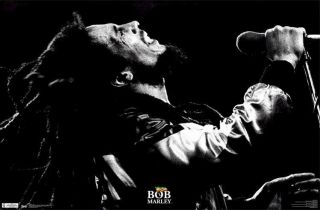 Bob Marley Poster Rapture Live 22x34 Reggae Rasta