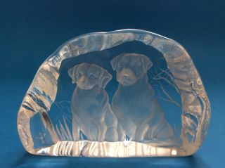 Darlington Lead Crystal Paperweight Etched With Two Dogs By A.  Capredoni Signed.