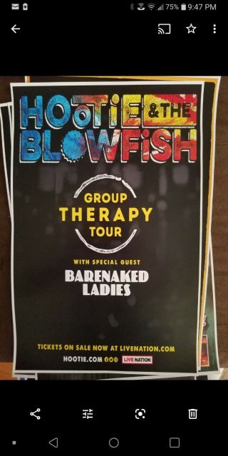 Hootie And The Blowfish 11x17 Promo Tour Concert Poster Batenaked Ladies Cd Lp