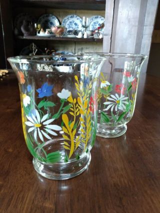 Royal Danube Hand Painted Floral Blown Crystal Glasses Set Of 2