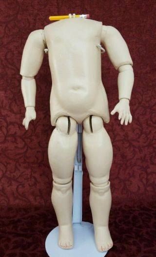 19 " Antique German Fully Jointed Composition Doll Body For A Bisque Socket Head